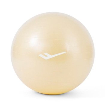 프로스펙스 짐볼 안티버스트짐볼 55cm (샴페인골드) 마사지볼