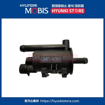 현대모비스 에쿠스VI(09년 2월10일~12년 12월15일) 3.8람다 엔진 퍼지 컨트롤 밸브 (289103C100)