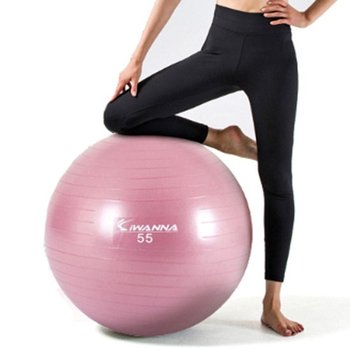 아이워너 안티버스트 짐볼 55cm 핑크 1P 근력 홈트 임산부짐볼 잘안터지는짐볼 짐볼운동