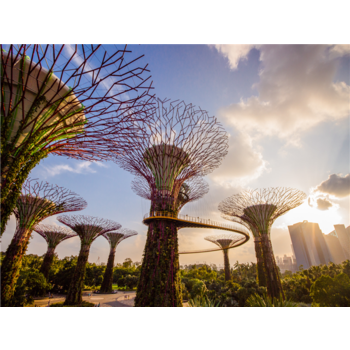 1일자유/노쇼핑/노팁 [리조트월드센토사2박] 싱가포르 3박5일 ASN571KEBW