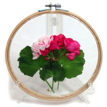 (5명용)자연채집용 수틀액자 채집용도구 야외체험학습 채집통 채집보관통 만들기용품