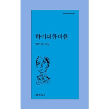 하이퍼큐비클 (문학과지성 시인선 612)