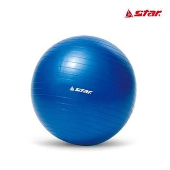 P144 마힙한사지 미니짐볼 45cm 요가 필라테스 소도구
