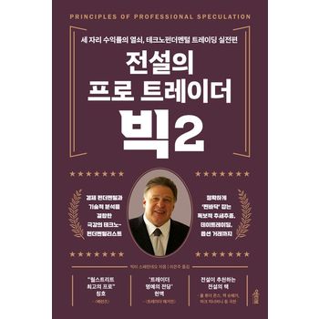 전설의 프로 트레이더 빅 2