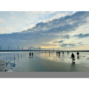[2대 도시 탐방][노쇼핑] 타이중/ 타이베이[예류/스펀/지우펀] 4일 ADP905LJM4