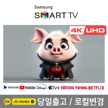 삼성 65인치 4K 스마트 UHD TV 65DU6900 스마트 OTT 기능 탑재