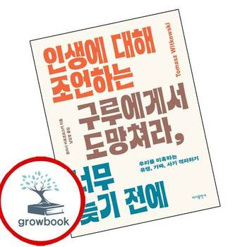 인생에 대해 조언하는 구루에게서 도망쳐라 너무 늦기 전에 책