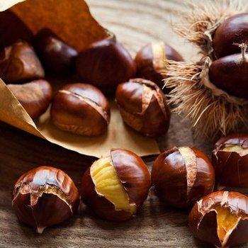 산지직송 국내산 충남 부여 뜨레밤 1kg 특 군밤용 포르단 칼집 밤 생밤 두메산골