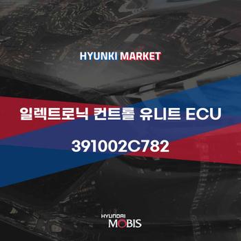 일렉트로닉 컨트롤 유니트 ECU (391002C782)