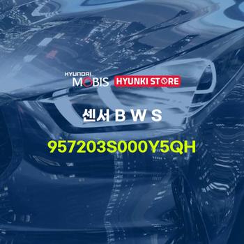 센서 B W S (957203S000Y5QH) 현대모비스부품몰