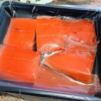 국내산 횟감용 손질 연어필렛 500g (S30465477)