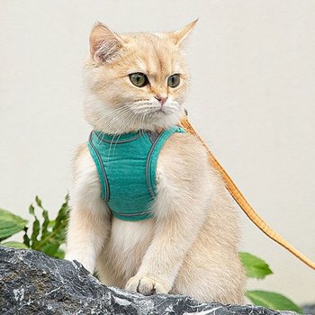 고양이 하네스와 리드줄 세트 강아지하네스 애견하네스 반려동물하네스 반려견하네스