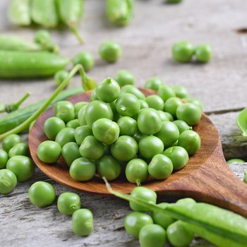 전라도 햇 완두콩 1kg