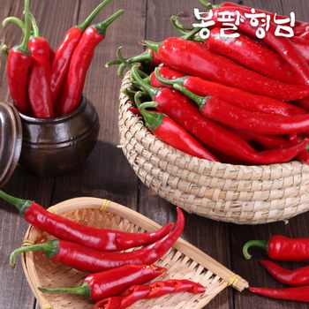 혼합 홍고추 10kg 홍초 당일수확 붉은고추