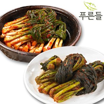 코리아푸드 [푸른들] 전라남도 함평김치 / 파김치 3kg + 여수갓김치 3kg