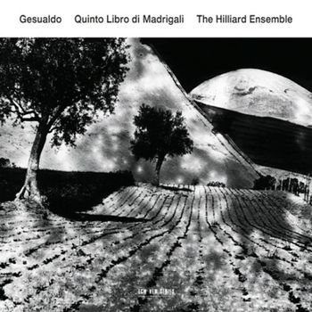 CARLO GESUALDO - QUINTO LIBRO DI MADRIGALI/ HILLIARD ENSEMBLE 제수알도: 마드리갈 5권