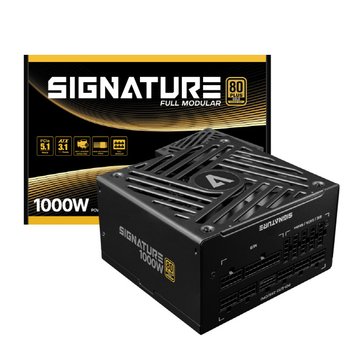 AONE 시그니처 1000W 80PLUS 골드 풀모듈러 ATX3.1 파워 블랙 (ATX/1000W)