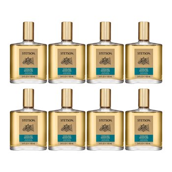 [해외] Stetson 미국 스텟슨 쿨링 모이스쳐 애프터 쉐이브 스킨 100ml 8병