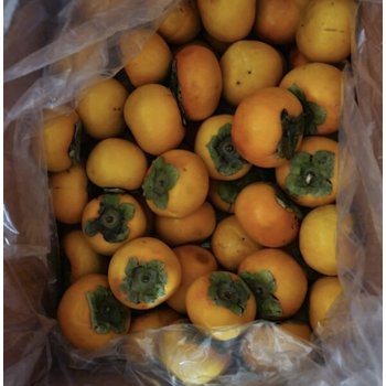 경남단감10kg 랜덤 흠과 못난이 태추 부여 진영 랜덤