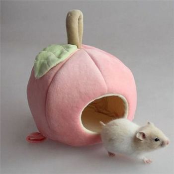 포근한 햄스터 숨숨 집 아늑한 소동물 은신처 보금자리 하우스 쉼터
