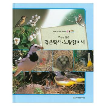 한국슈타이너(D) 조심성 많은 검은딱새 노랑할미새-62(올빼미자연관찰)