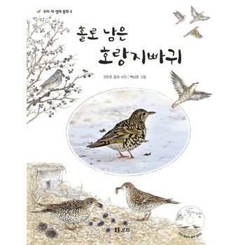 홀로 남은 호랑지빠귀