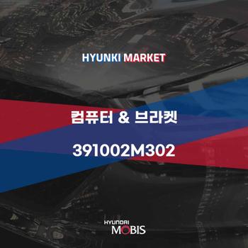 컴퓨터 & 브라켓 (391002M302) 현대모비스부품몰
