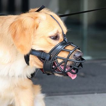 세이프독 강아지 입마개3호 블랙 (WDC22FD)