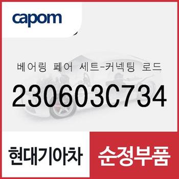 베어링 페어 세트-커넥팅 로드 (230603C734) 올뉴 카니발, 더뉴 카니발, 제네시스, 제네시스 G80, 맥스크루즈, 뉴 에쿠스, 제네시스 EQ900, 제네시스 G90, K9, 더뉴 K9, 더뉴 제네시스 쿠페, 베라크루즈, 아슬란, 올뉴 K7, 그랜저IG, 그랜저IG