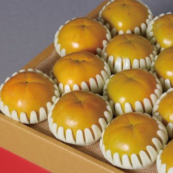 전남구례 명장 농업마이스터가 키운 아삭한 꿀 태추단감 정품(선물용) 중대과 4kg 17-20과(개당200-240g)