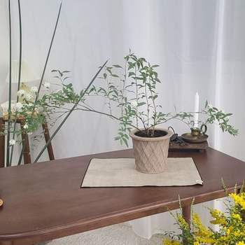 bns 테라원 빈티지 아쿠아 토분 HN30411 14x15cm 체크