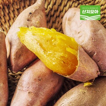 [신세계백화점]해남 호박고구마 세척 대 5kg(300g이상)
