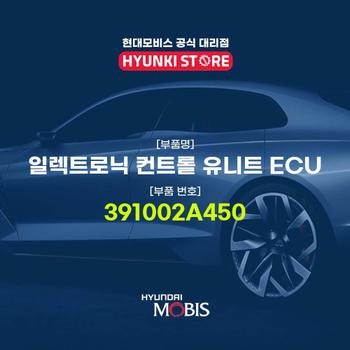 현대모비스일렉트로닉 컨트롤 유니트 ECU (391002A450)