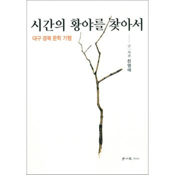 시간의 황야를 찾아서 - 대구 경북 문학 기행