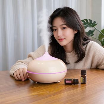 미니 가습기 탁상용 초음파 사무실 책상 데스크 침실 공부방 1인용