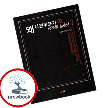 왜 사전투표가 승부를 갈랐나 왜사전투표가승부를갈랐나 책