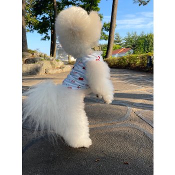 [쥬비코 강아지옷]쥬비코 강아지옷 체리 쿨매쉬 크롭나시