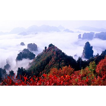 [선착순 8명 한정 72기루 내부관광포함/Semi-프리미엄]장가계직항 6일 매력상서쇼 대협곡 유리다리+VR 천문산사+귀곡+유리잔도 5성급호텔 전신마사지 보봉호수VIP 황룡동굴 리무 ...