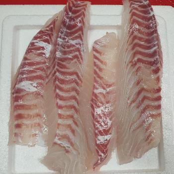 횟감용 참 돔 필렛 350g 생물 참 돔 회 필렛 참 도미 필렛 도미 회 주문 손질도 (S32946301)