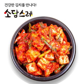 소담스레 국내산 김치 깍두기 10kg[29845425]