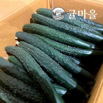 귤마을 가정용 가시오이 10kg (S50789564)