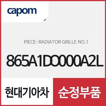 라디에이터 그릴 NO.1 피스 (865A1DO000A2L) EV9