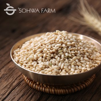 [소화농장] 2025년 찰현미(찹쌀 현미) 2kg / 5kg