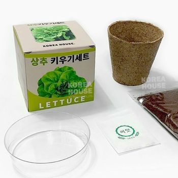 자연관찰 상추 키우기 세트 4P 텃밭 농사 식물 키트 청상추키우기세트 채소키우기세트