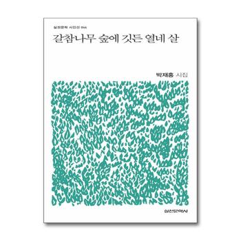 갈참나무 숲에 깃든 열네 살 (실천문학 시인선 44)