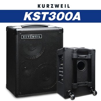 영창  버스킹 앰프 KST300A 스피커