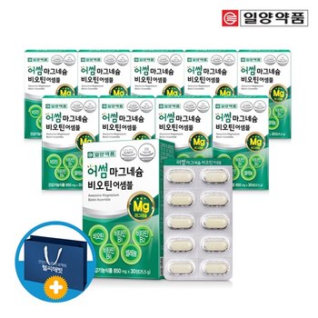 산화 마그네슘 비오틴 비타민B 영양제 10박스 쇼핑백