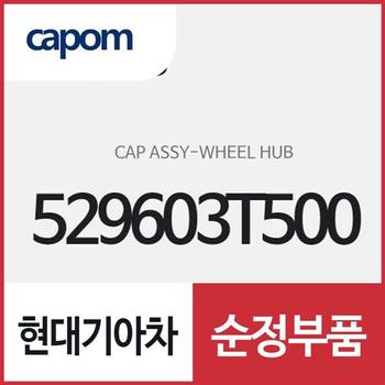 휠 허브 캡 (529603T500) K9