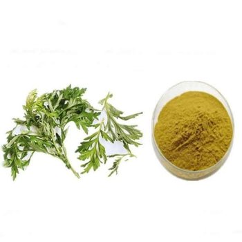 쑥추출분말 1kg_24474269