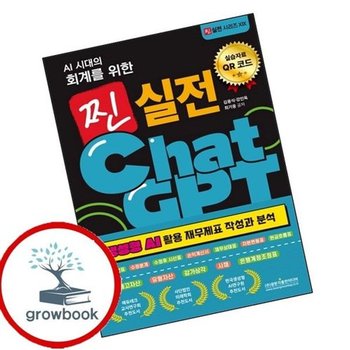 AI 시대의 회계를 위한 찐 실전 ChatGPT (생성형 AI 활용 재무제표 작...